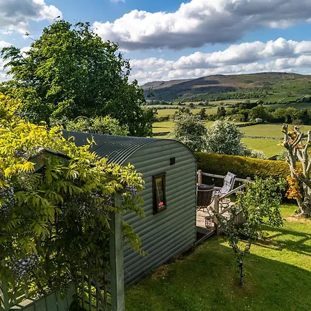 The Hut In The Orchard @ Yorecroft
